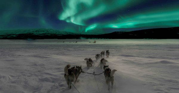 Tudo sobre a Eurail | Huskey correndo sob a linda aurora boreal na Noruega